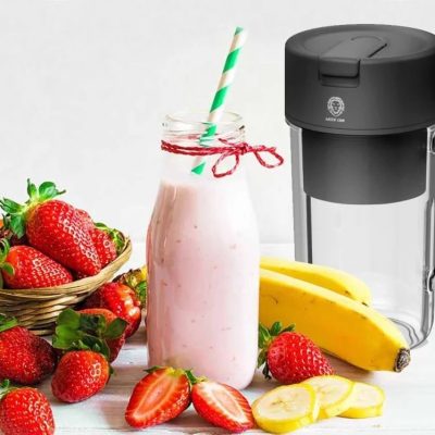 مخلوط کن و ماگ قابل حمل گرین لاین Green Lion Portable Blender Mug